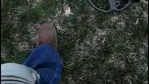 Minelab Etrac Finding DEEP SILVER 0001