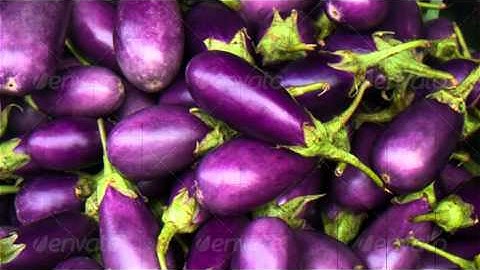 3D Transitions Pack After Effects Template