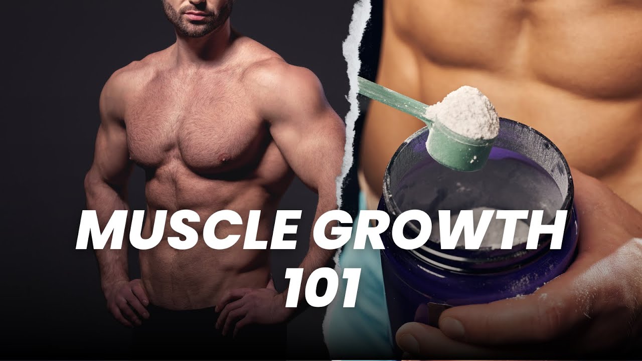 Muscle Growth 101: The Protein Powder Effect - YouTube