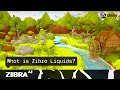 What is Zibra Liquids? Product video overview