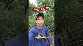 istri bisa saja kehilangan suami #shortvideo #motivation