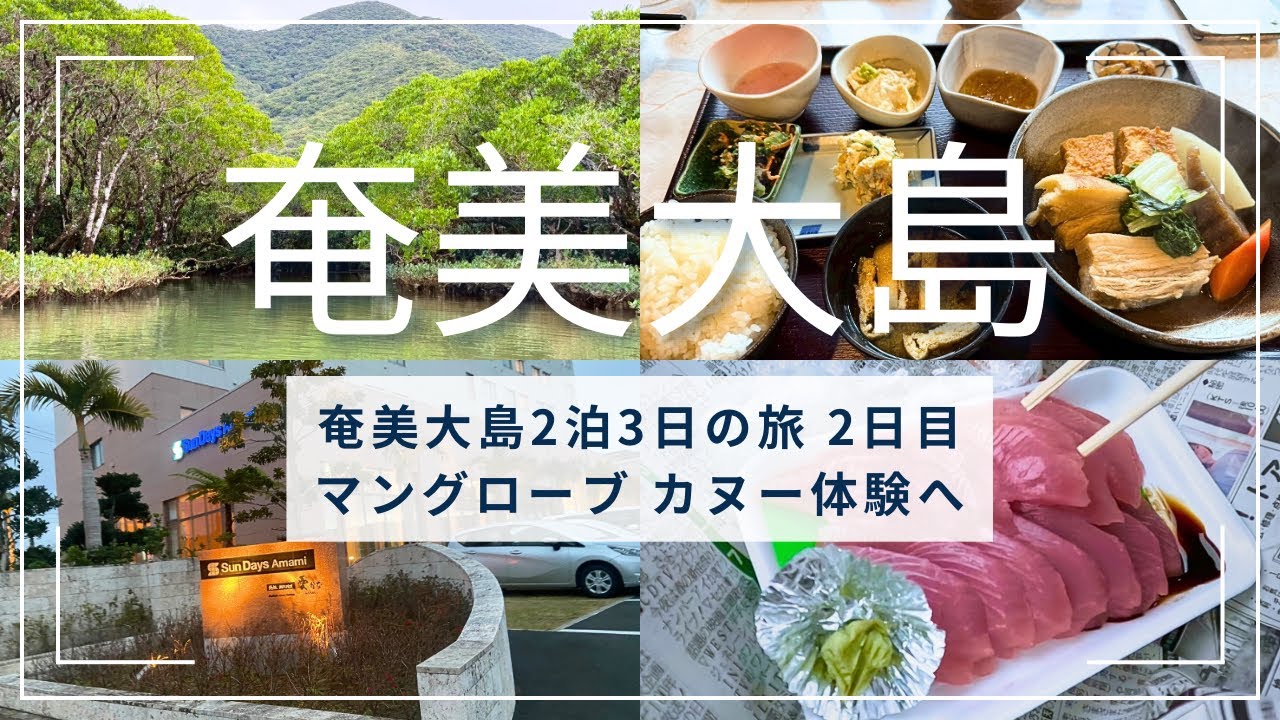 2025年12月奄美大島2泊3日の旅vol.２🌺２日目はマングローブパークでカヌー体験♪ホテルサンデイズ奄美に宿泊🌴