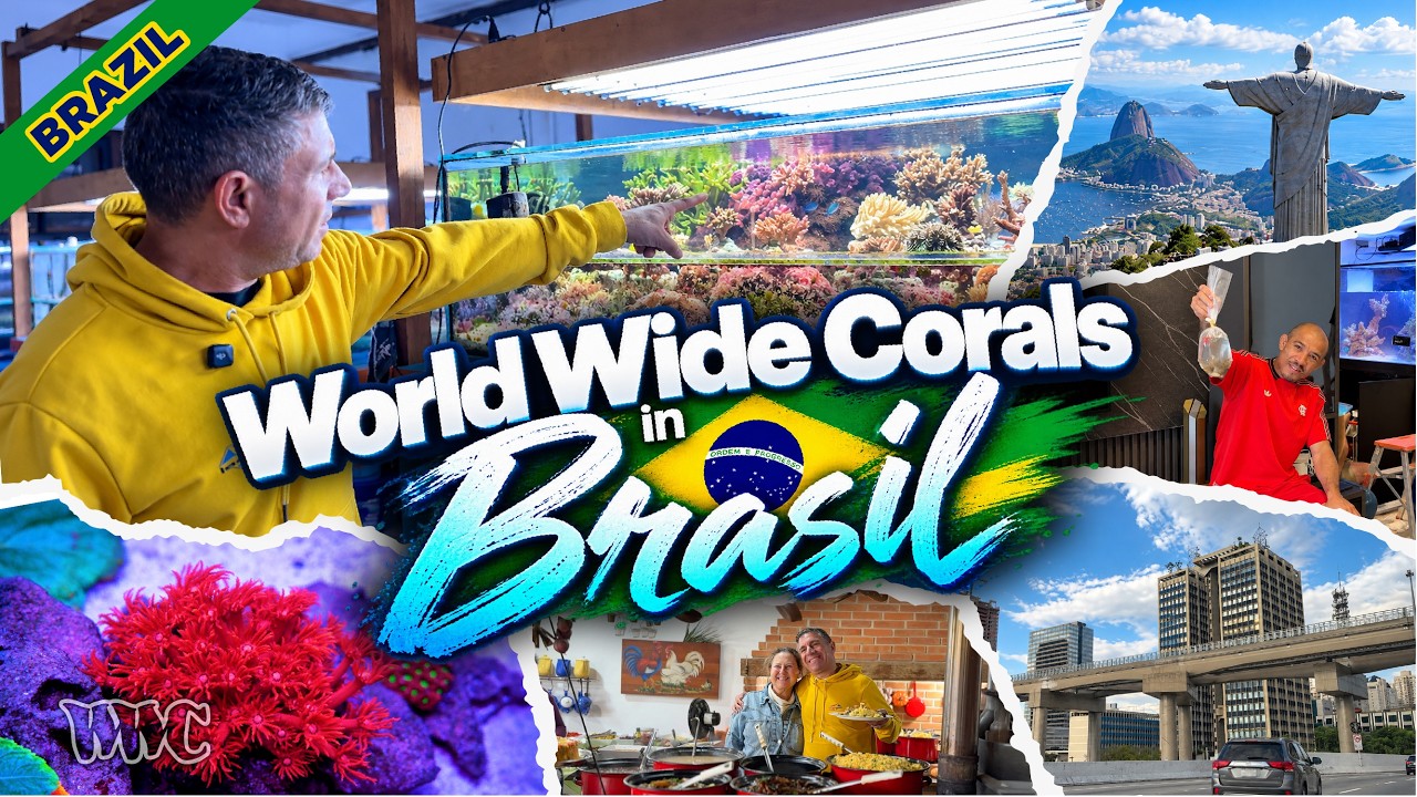Vic Explores Brazil’s Reef Scene | Coral Farms, Massive SPS & Reef Tank Makeover