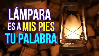 Your word is a lamp to my feet | Christian Reflection