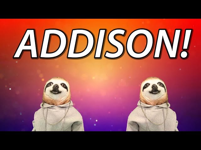 HAPPY BIRTHDAY ADDISON! - SLOTH HAPPY BIRTHDAY RAP