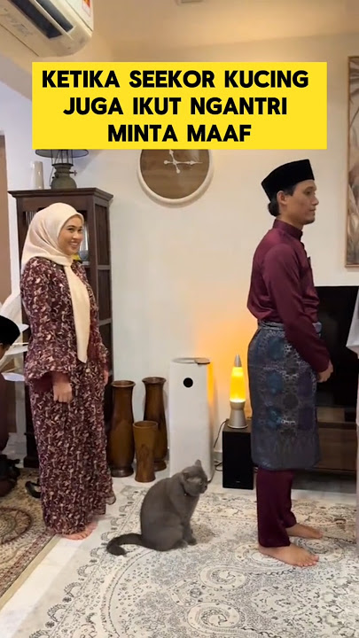 momen lucu ketika kucing ikut antre minta maaf lebaran ‼️‼️ #ngakak #lucu #kucing #lebaran #kocak