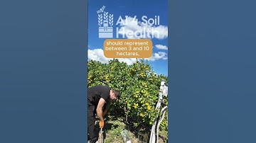 How to plan soil sampling in salt affected areas