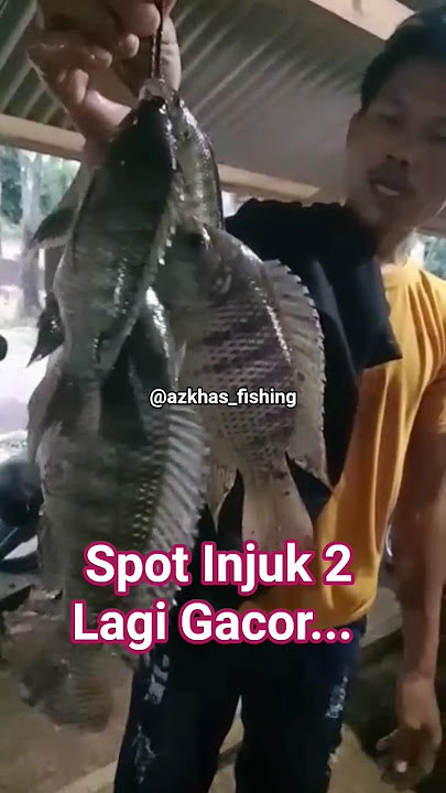 Mancing jatiluhur terbaru || spot injuk 2 lagi gacor parah bosku🔥 #mancingjatiluhurterbaru