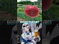 момент со стрима #sleduck #twitchclips