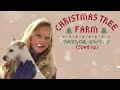 Taylor Swift - Christmas Tree Farm (Sped Up)