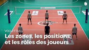 Quels sont les différents postes au Volley-ball ?