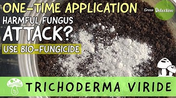 How to Use Trichoderma Viride (Bio-Fungicide) in Garden | Organic Protection for Plants (ENGLISH)