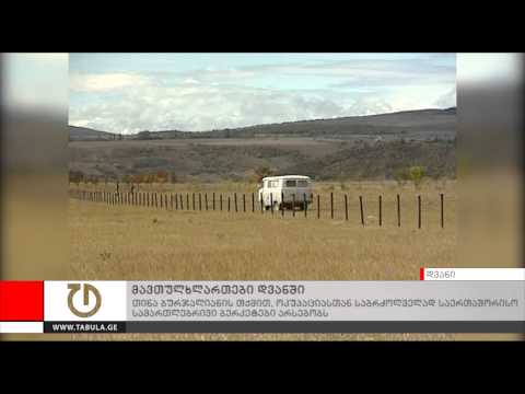 თინა ბურჯალიანი დვანში გავლებულ  მავთულხლართებზე