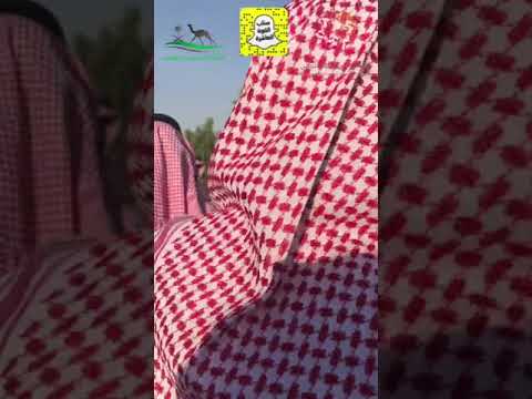 سمو الأمير فهد بن جلوي رئيس الاتحاد السعودي الهجن