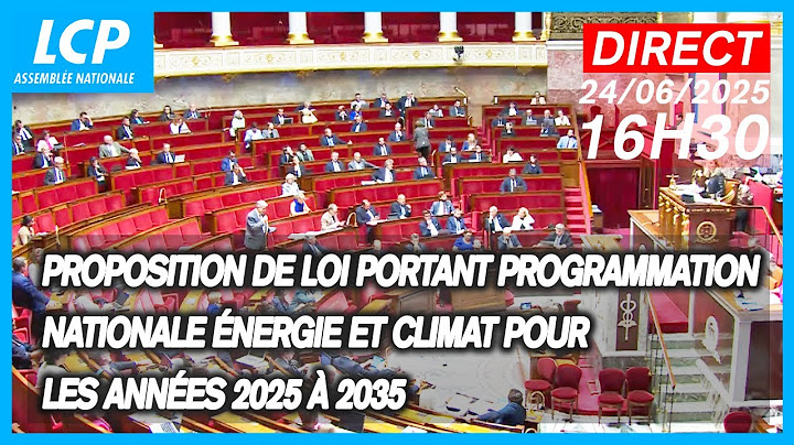 🔴 [DIRECT] Programmation de l'énergie : vote solennel - 24/06/2025