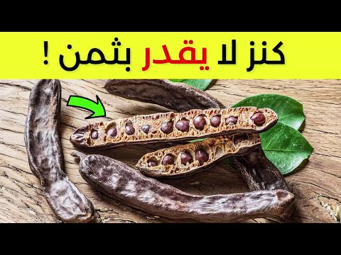 أهم 10 فوائد مذهلة للخروب الذي يجب أن تعرفه! ما الذي حدث عندما جربت الخروب لمدة 30 يومًا!