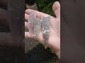Flint from England Makes Notable Points