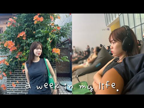 [VLOG] 일상 브이로그 | 무학 | 도토리 | 국립현대미술관 | 유즈라멘 | 파파존스 브라우니 | 언박싱📦(스킨케어, 베트남 여행 준비물, 옷)