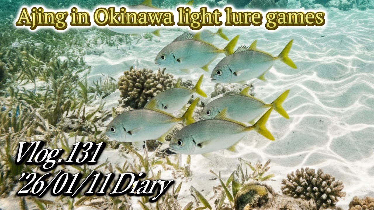 【メタルジグ 】でメッキ好釣　Vlog.131 '26年1月11日　#沖縄 #ルアー釣り＃アジング#スーパーライトゲーム　＃ショアジギング
