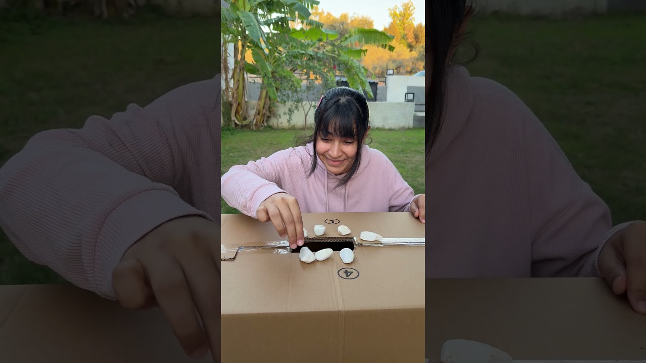 Who's in the box ? 😂😳