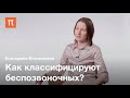 Современная зоология беспозвоночных — Екатерина Богомолова / ПостНаука
