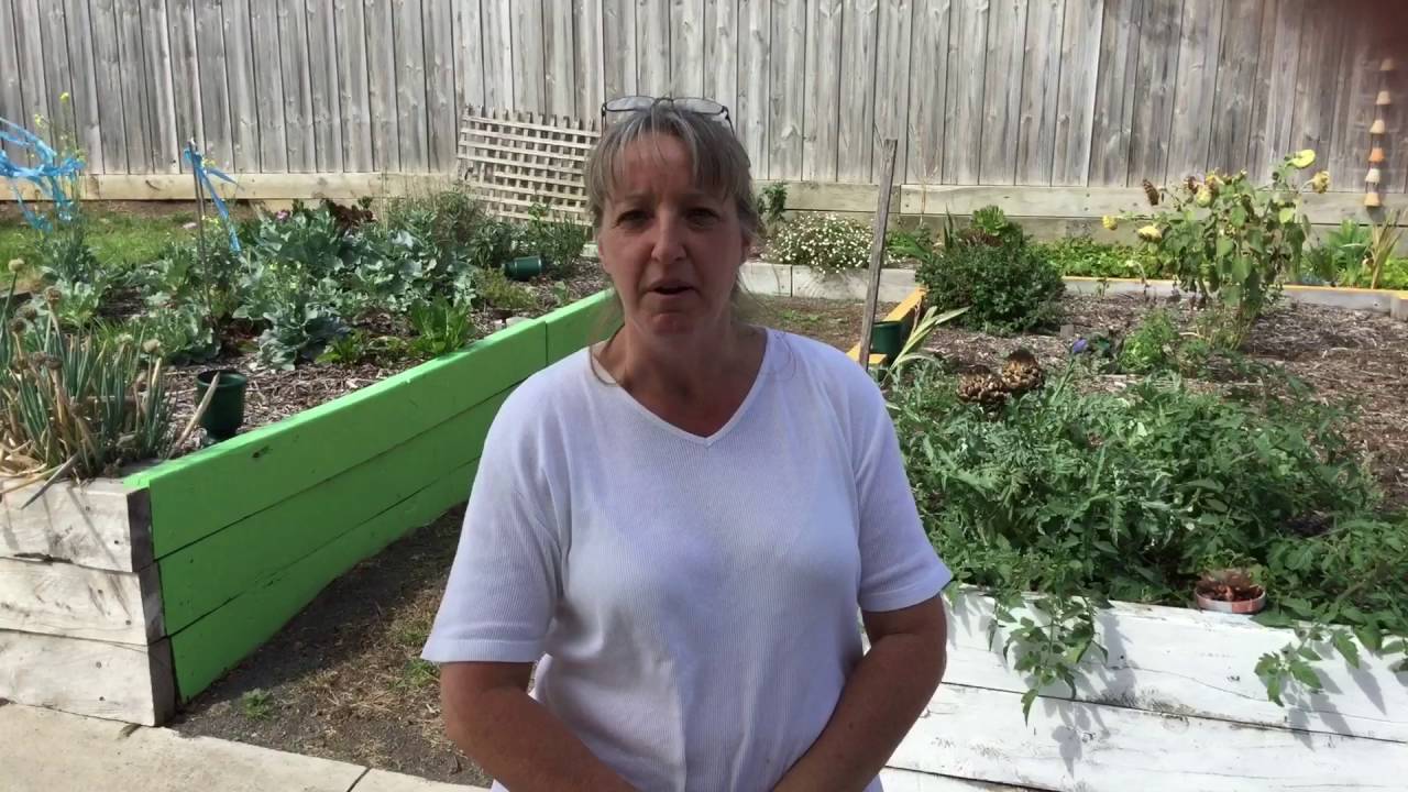Portland Primary School Kitchen Garden YouTube