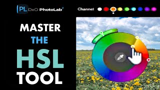 DXO PHOTOLAB 7: 5 TIPS ON USING THE HSL TOOL FOR OUTSTANDING COLOR