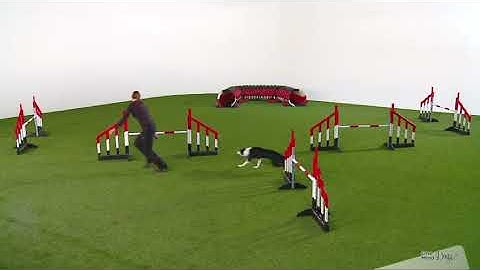 Choosing and applying handling techniques guided course - coming soon!