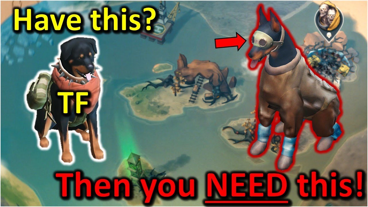 You NEED this Equipment for your True Friend Dog in the Island Region! [Last Day on Earth: Survival]