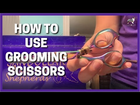 how-to-use-grooming-scissors