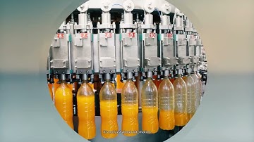 Beyond the Process | Orise