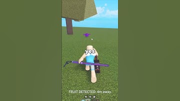 I Bought the Fruit Notifier in Blox Fruits...