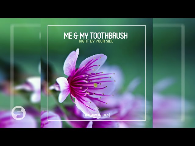 ME/MY TOOTHBRUSH - Right by Your Side