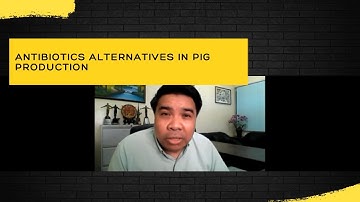 Antibiotics alternatives in pig production - Dr. Rommel Sulabo