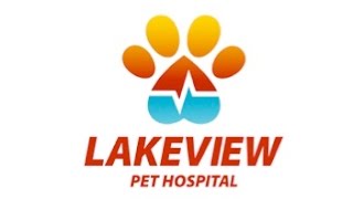Meet The Veterinarians in Oklahoma City, OK - Lakeview Pet Hospital