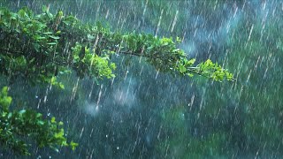 24 Hours Rain &amp; Thunder | Rainstorm Sounds for Sleep, Studying or Relaxation | Nature White Noise