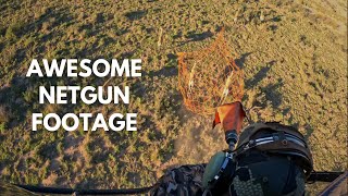 Using a Netgun from a Helicopter! - Mega Springbuck
