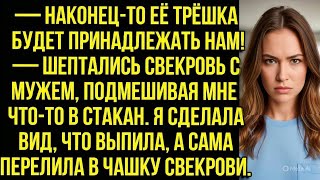 картинка: —  Её трёшка будет принадлежать нам! - шептались свекровь с мужем, подмешивая мне что-то в стакан.