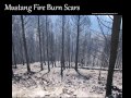 Mustang Fire burn scar flash flood threat and impacts