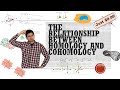 Chern Simons Theory 12 Free Version How Cohomology And Homology Are Related 