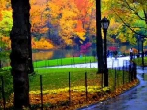 Omar Faruk - Last Moments of Love