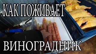 ПОЧЕМУ НЕ ДЕЛАЕМ МНОГО КОЛБАСЫ?