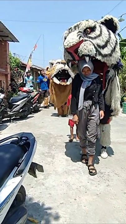 Cewek berhijab dicaplok barongan can macanan #shorts