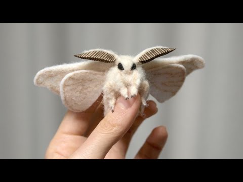 Video: Spectacular Moth-skinned