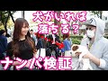 【検証】可愛い犬と一緒ならナンパ100%成功する説【ラファエル】