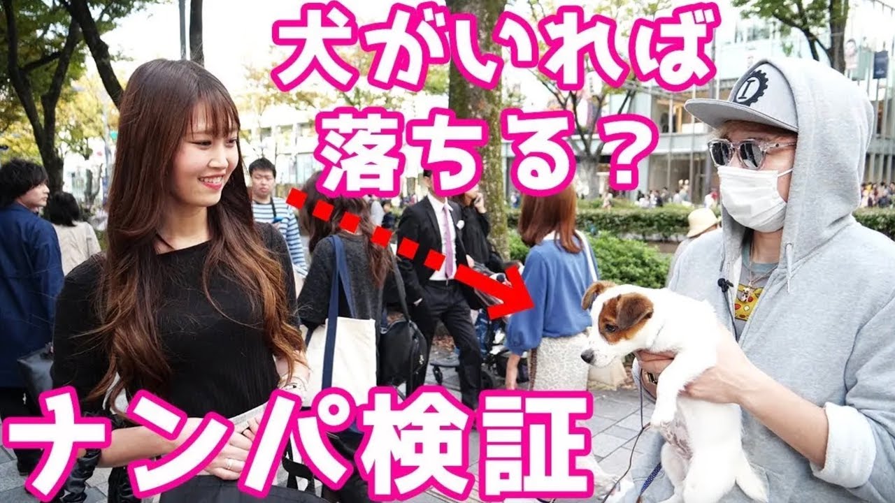 検証】可愛い犬と一緒ならナンパ100％成功する説【ラファエル】 - YouTube