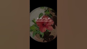 #قران_كريم#سورة_الروم#ياسر_الدوسري