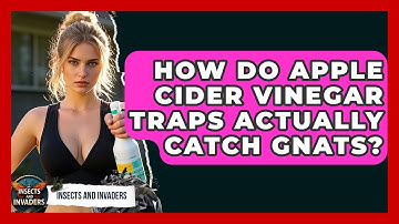 How Do Apple Cider Vinegar Traps Actually Catch Gnats? - Insects and Invaders
