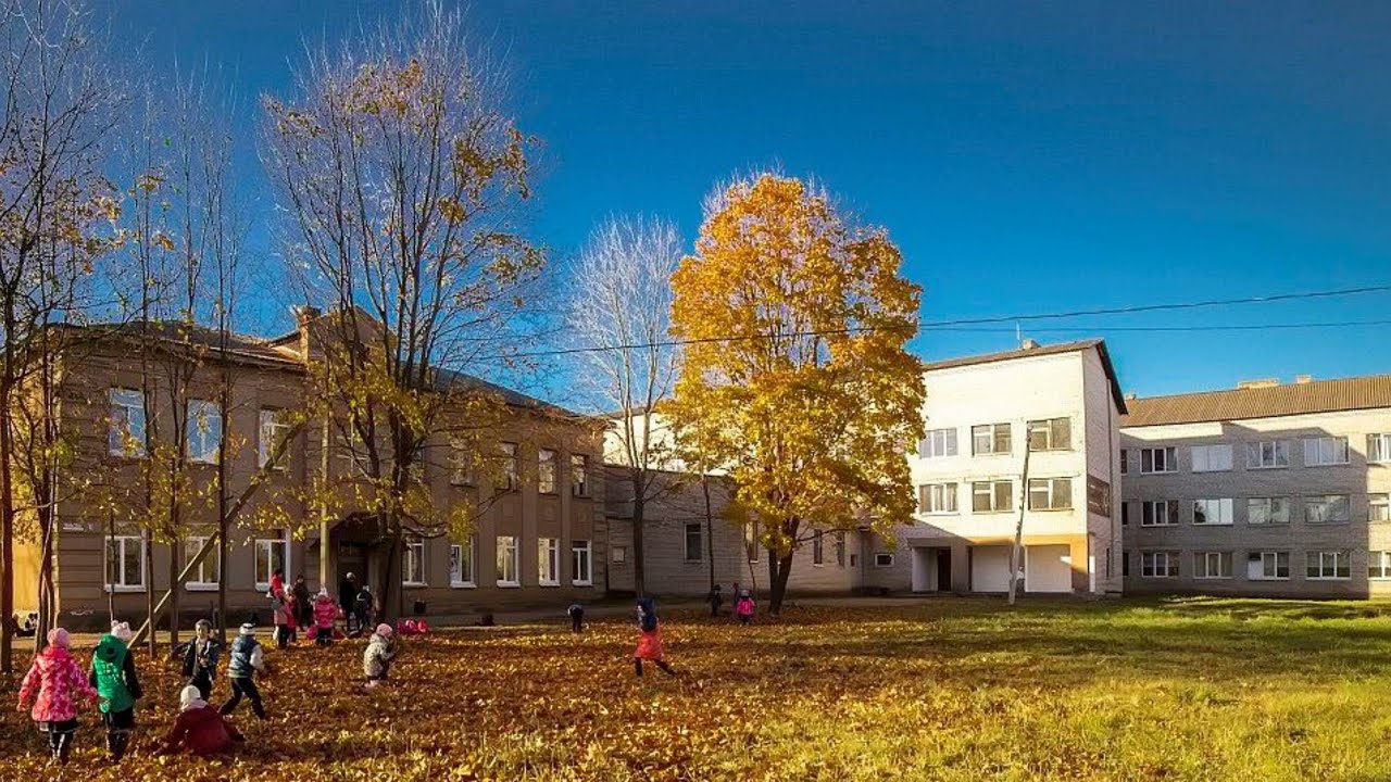 Пестово новгородская область школы