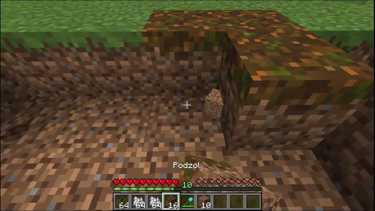How to farm podzol YouTube